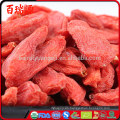 Promoción de ventas de la digestión de la baya de goji tibetano goji berry ojo suero goji berry emagrece mesmo con precio bajo